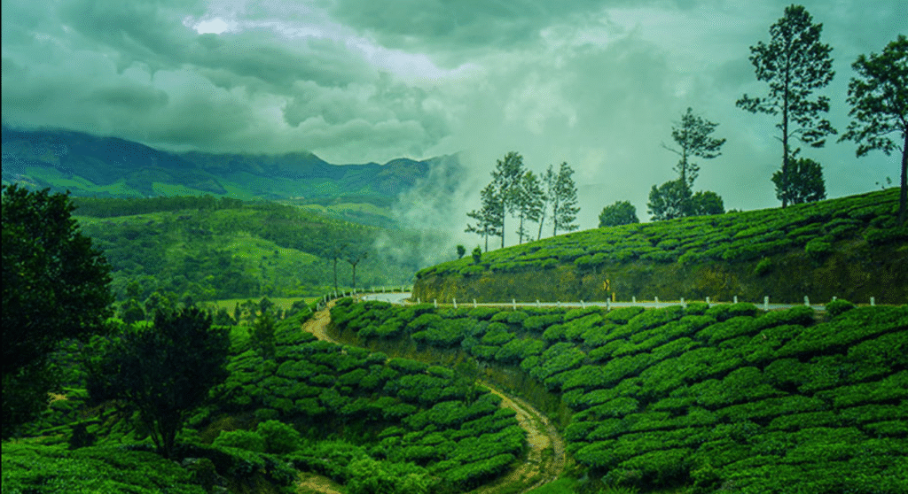 Monsoon Destinations