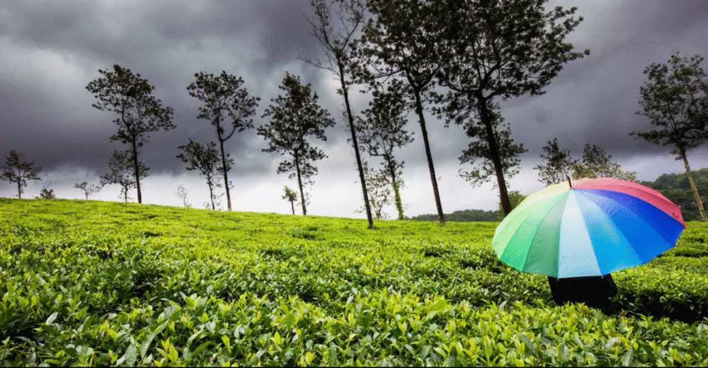 5 Budget-Friendly Monsoon Destinations
