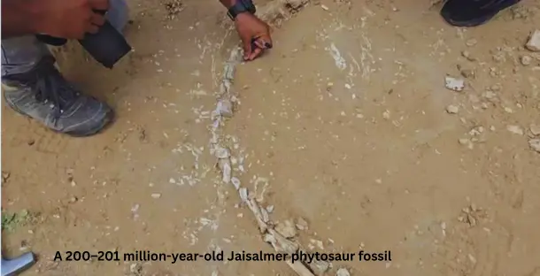 A 200–201 million-year-old Jaisalmer phytosaur fossil—a crocodile-like reptile—has been unearthed in Megha village, Rajasthan. A 200–201 million-year-old Jaisalmer phytosaur fossil—a crocodile-like reptile—has been unearthed in Megha village, Rajasthan.