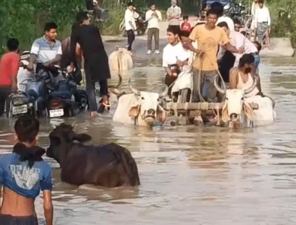 Severe monsoon floods hit Bihar’s 7 districts, affecting about 10 lakh people and submerging villages, roads and farmland. Severe monsoon floods hit Bihar’s 7 districts, affecting about 10 lakh people and submerging villages, roads and farmland.
